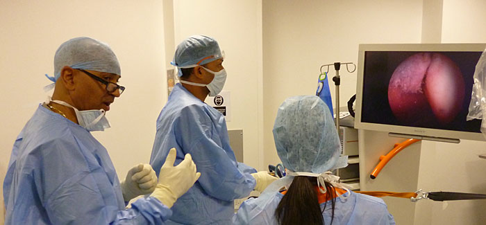 Teaching a hip arthroscopy master class